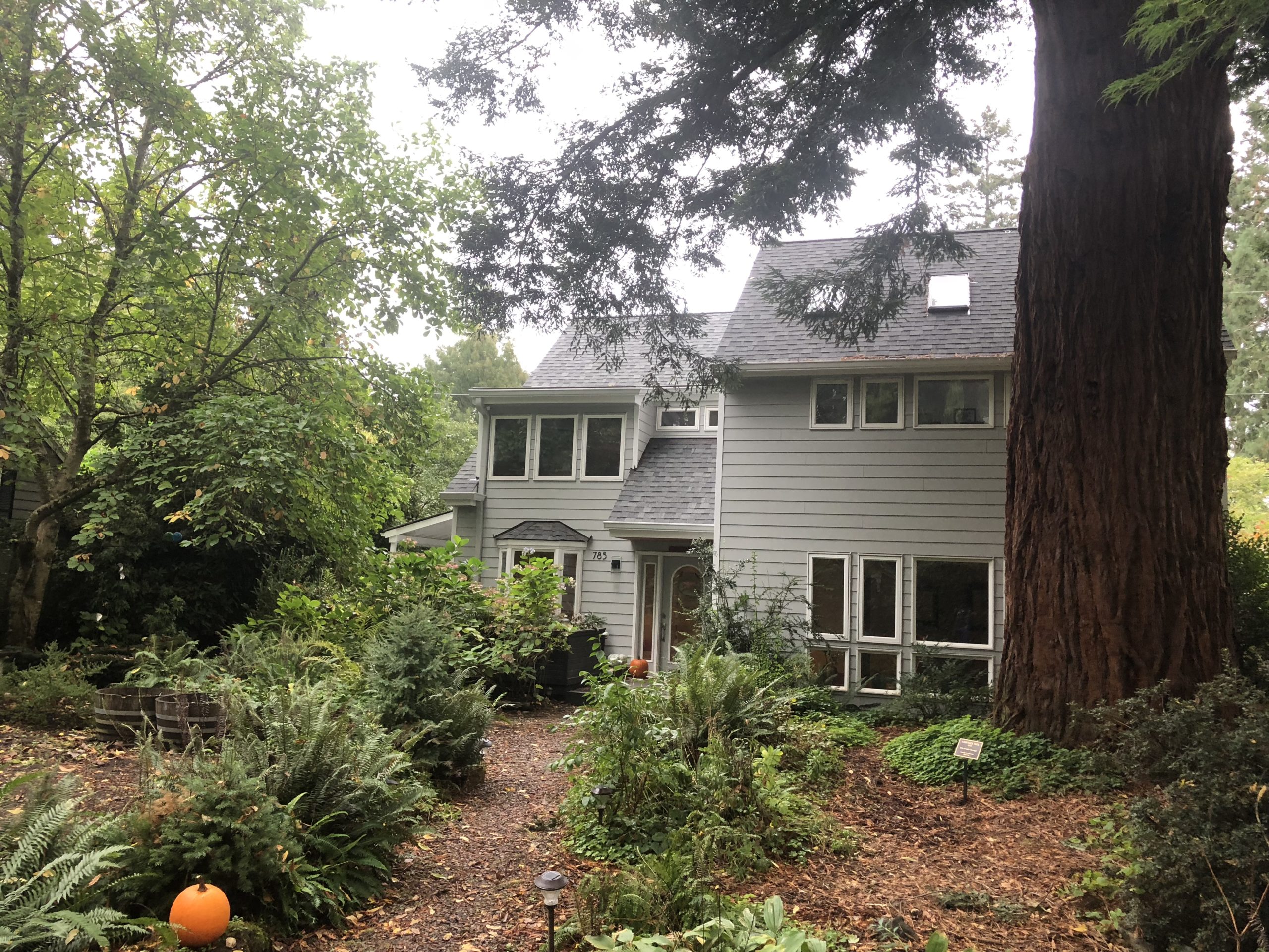 A Lake Oswego home in our "urban forest"