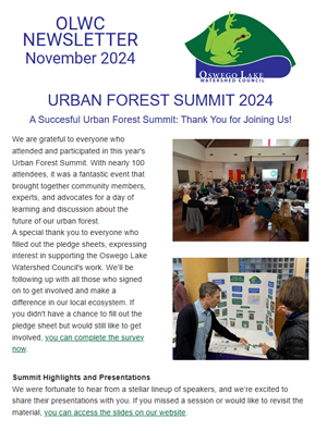 CLICK to read the November 2024 Newsletter in your browser window